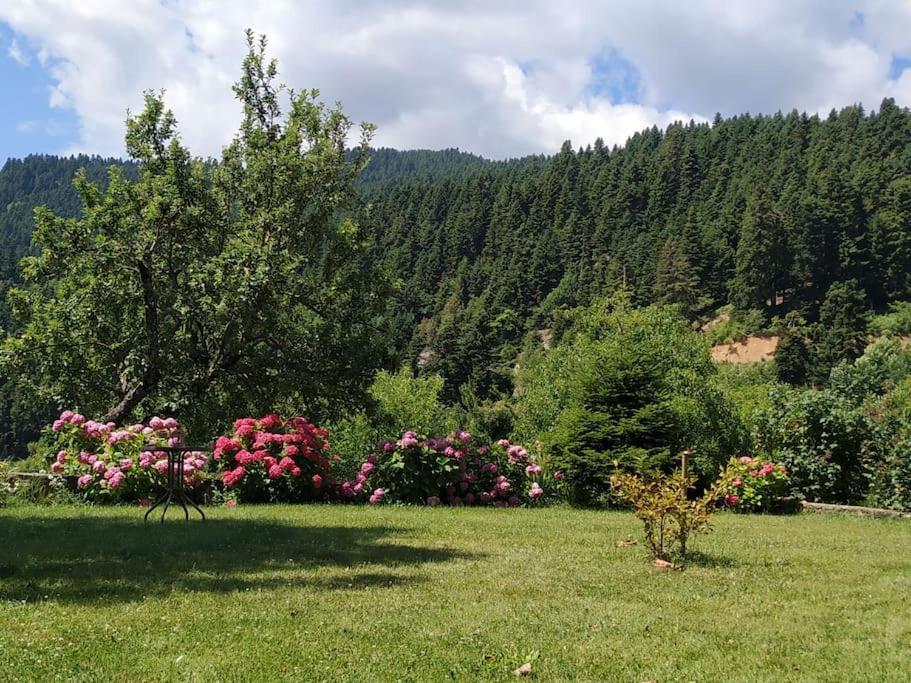 Παραδοσιακή Πέτρινη Κατοικία Στην Βλάχα Ελάτης Esterno foto